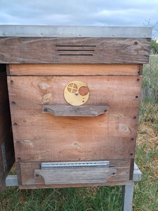 Продам 10-ти рамочные улья в количестве 10 шт.