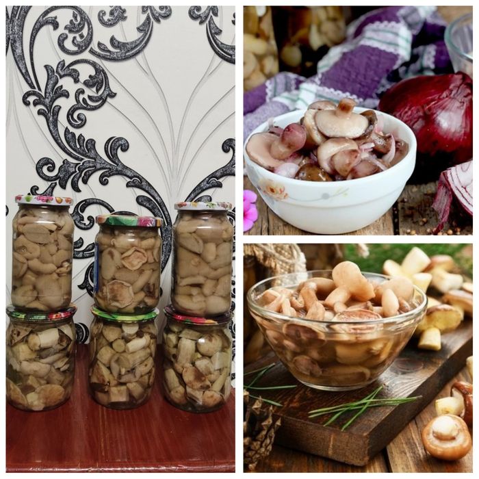 Гриби мариновані, Грибочки Маслята, Підосичники, Грибний паштет