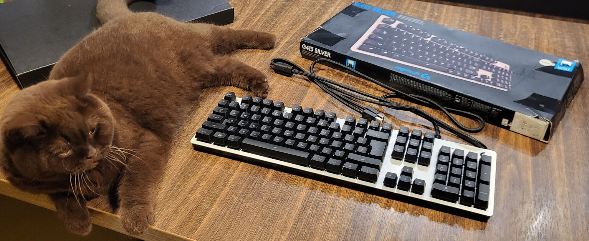 Klawiatura podświetlana Logitech g413 Silver  gamingowa