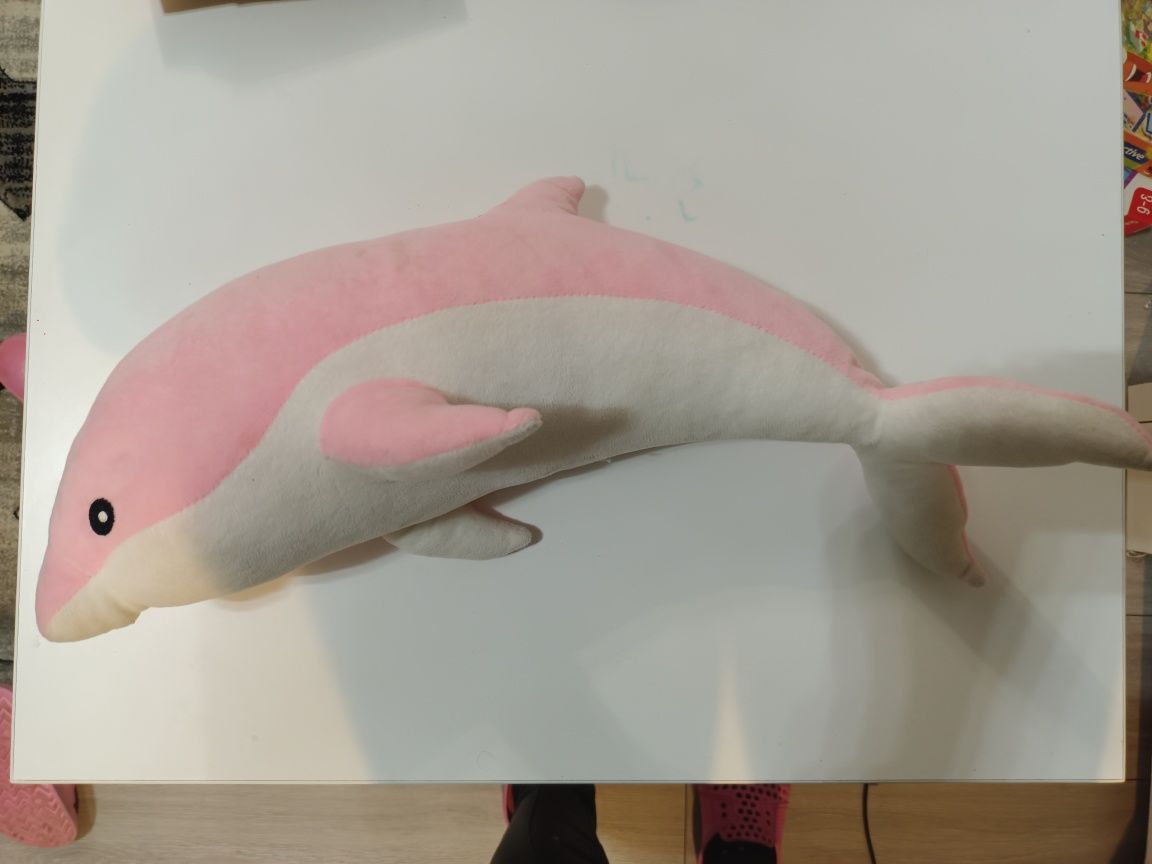 Delfin różowy polecam