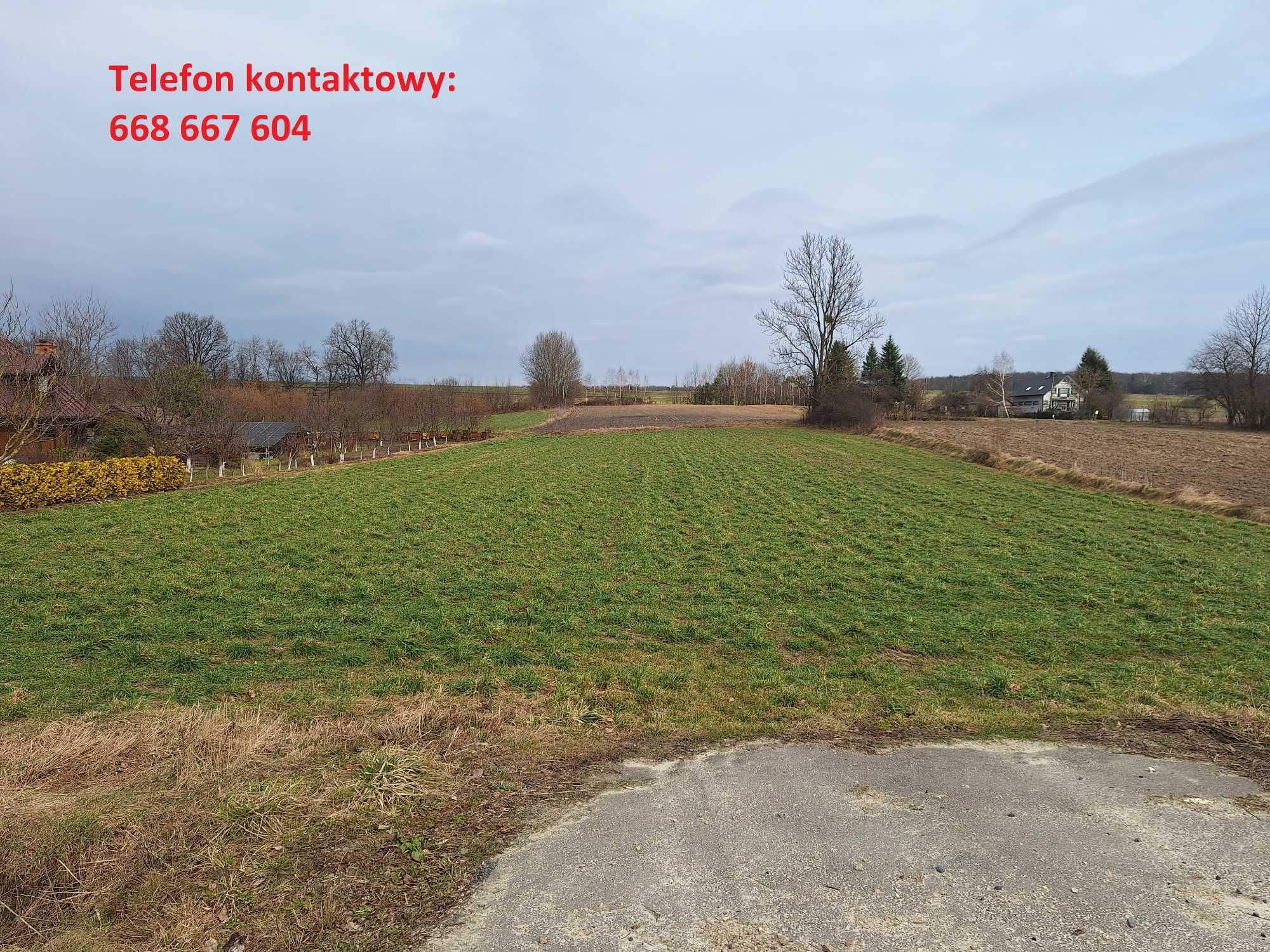 Działka Tomaszów Lubelski - Wieprzów