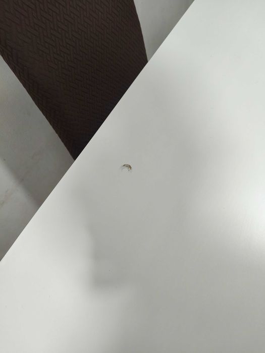 Mesa da Jantar Extensível em Madeira Branca