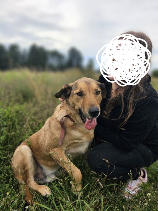 Proszę o dom dla psa Nemo