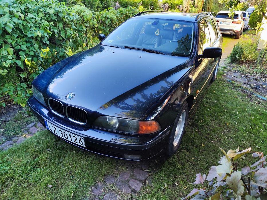 BMW 530D 184km Ładny