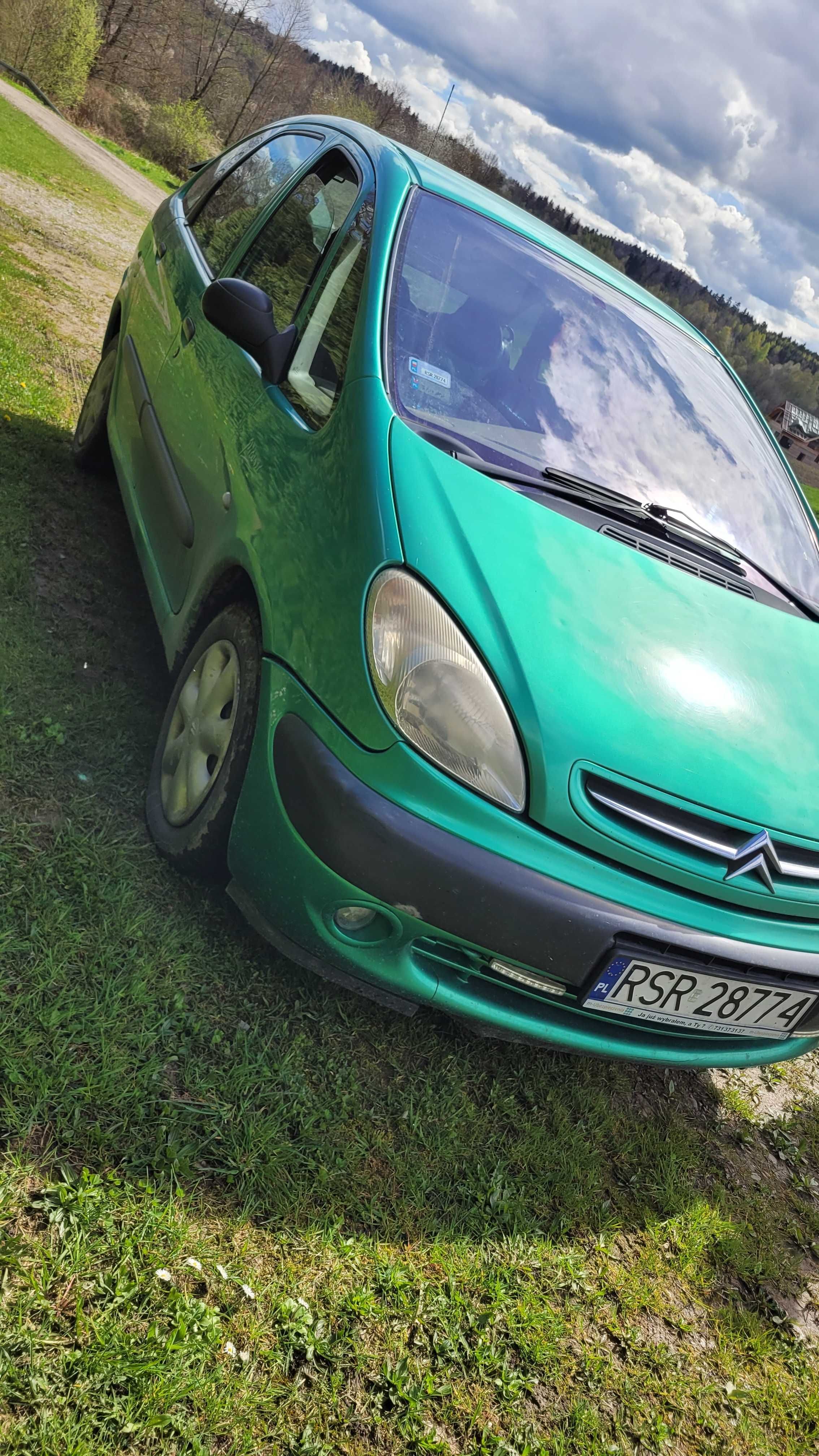 Citroenxsarapicaso