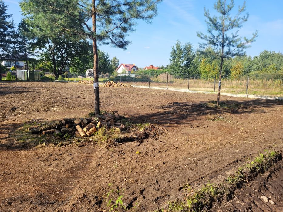 Pielęgnacja, wycinka drzew, podnośnik koszowy, czyszczenie działek