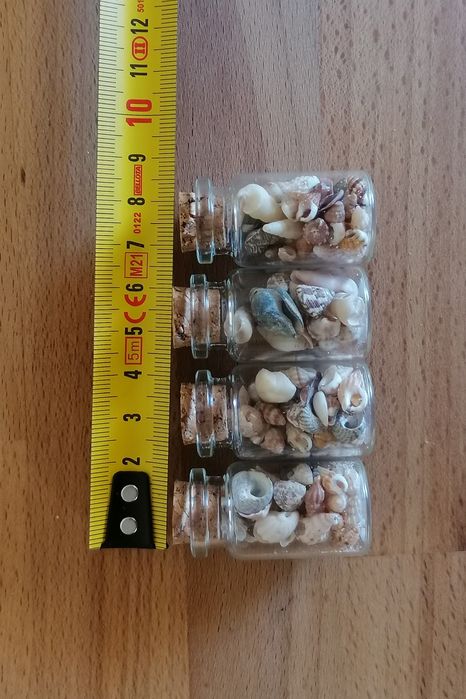 Conjunto 4 frascos conchas e buzios