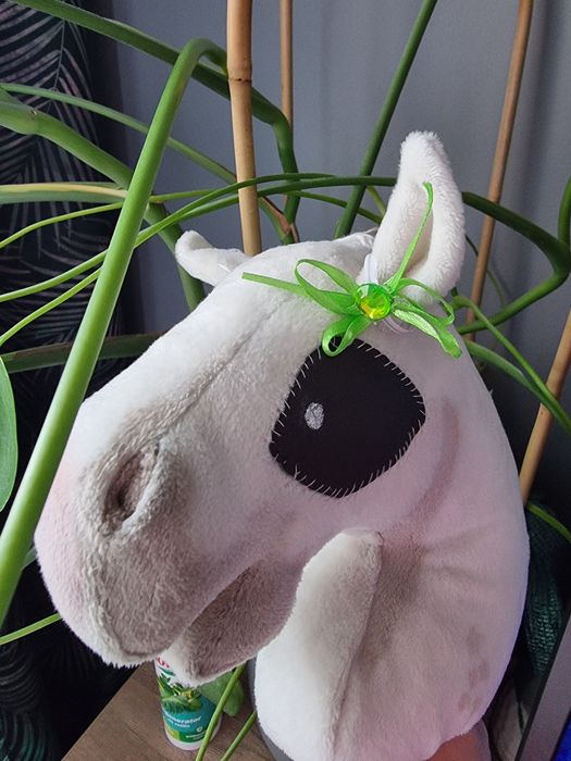 Kokardki kolorowe wielokrotnego użytku do różnych rzeczy