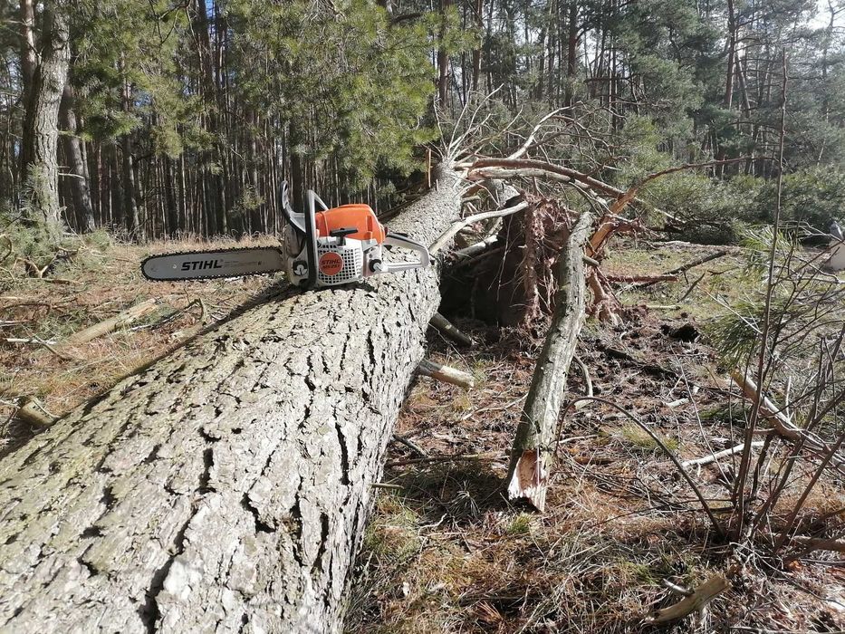 Usługa rębakiem / Wycinka średnich drzew / Oczyszczanie działek/rębak