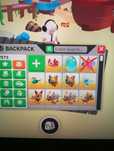 adopt me pety roblox