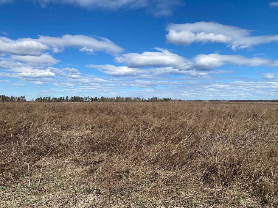 Продаж земельної ділянки 1,46га (ОСГ). Терміново! ТОРГ! ID:679