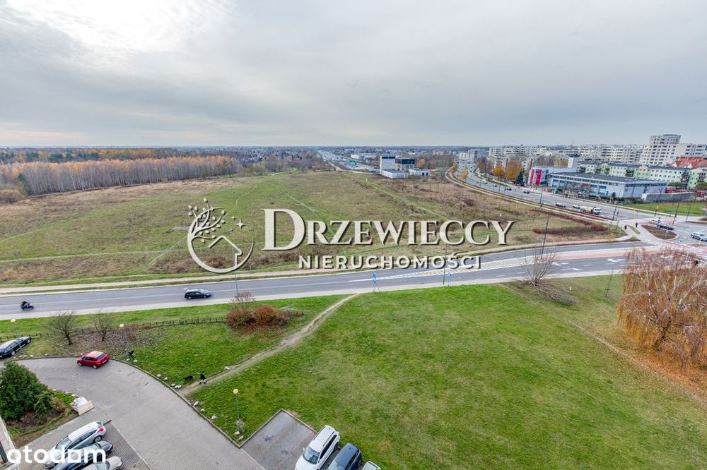 Studio niesamowity widok las – obok parku