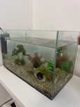 Aquario para peixe