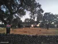 Terreno Agrícola