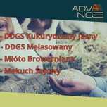 Wysokoenergetyczna pasza - DDGS| Młóto browarniane| Makuch sojowy
