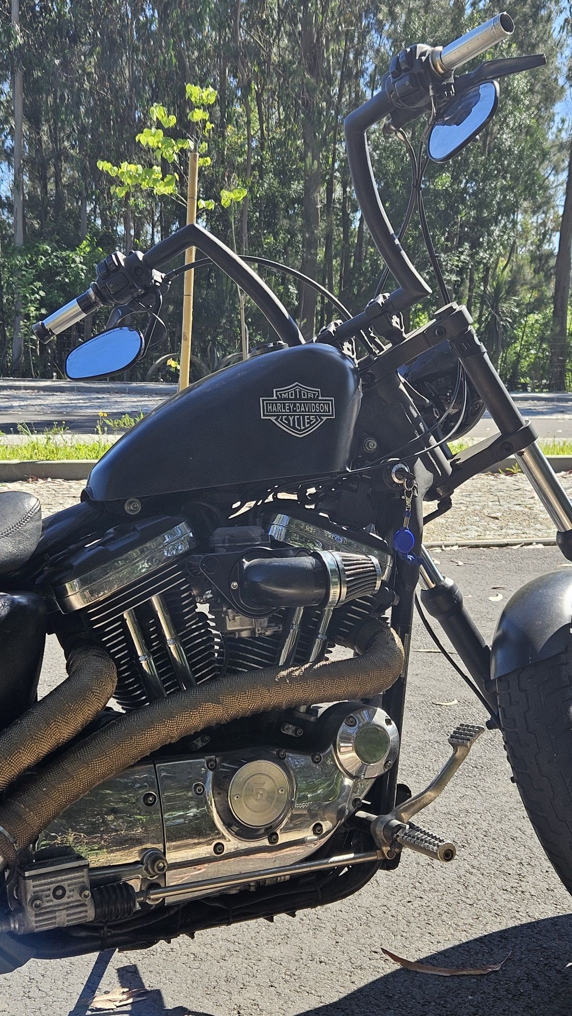 Harley Davidson XL 1200 Custom (ano 2001)