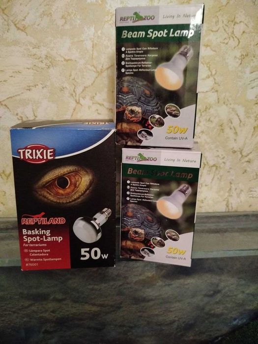 Акватерраріум 240л + Повний набір для акватерраріуму