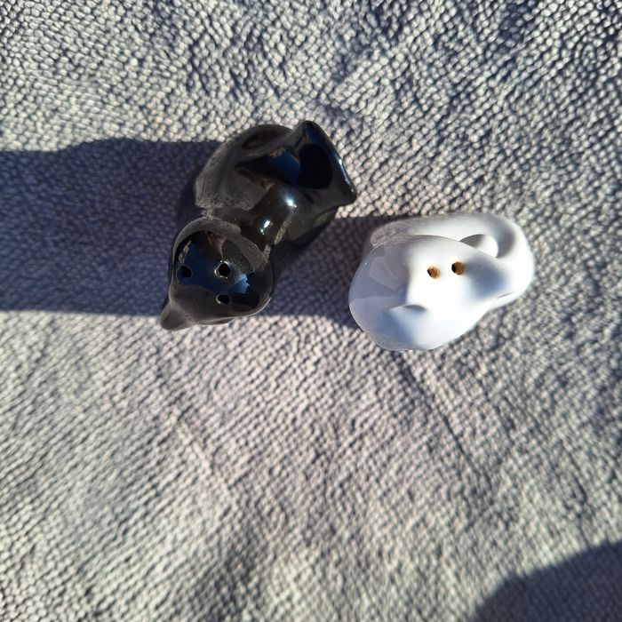 Zestaw solniczka I pieprzniczka w kształcie Kotka I Kaczki