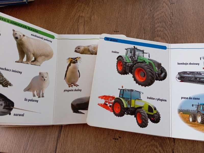 Popatrz! Co to jest? Zwierzęta i pojazdy