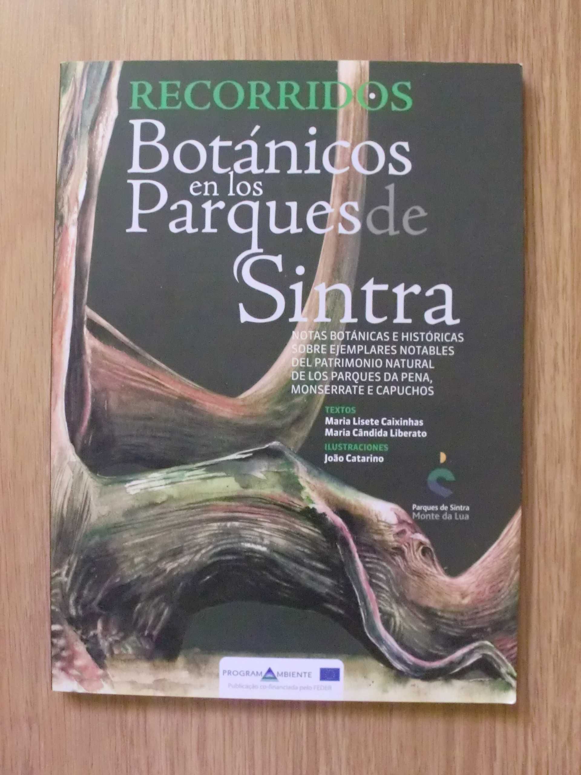 Passeios botânicos nos parques de Sintra