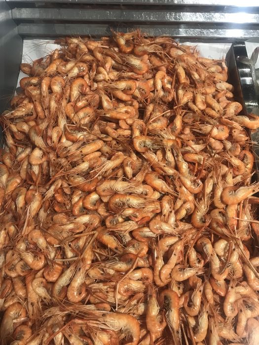 Отборная Свежая Черноморская креветка . Доставка по городу от 5 кг