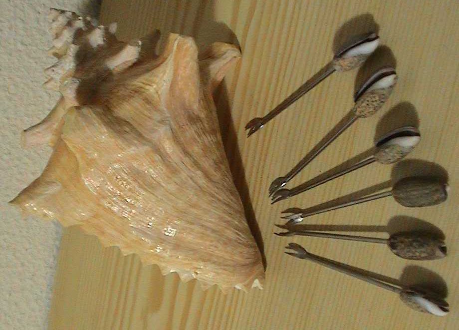 Búzio com 6 garfos de 2 dentes.