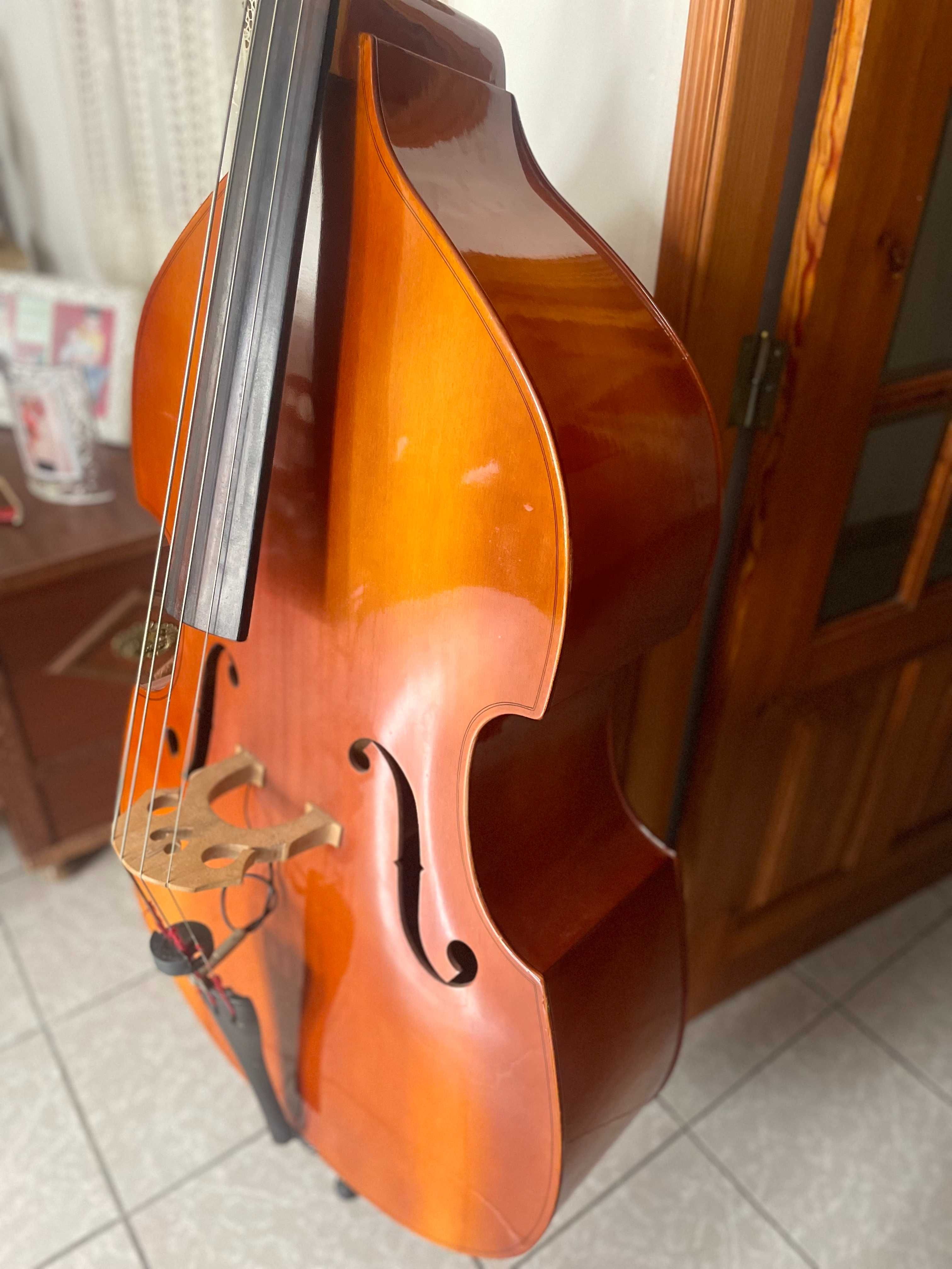 Contrabaixo Dvorak ( Strunal ) , 3/4 + extras ( excelente preco ) .