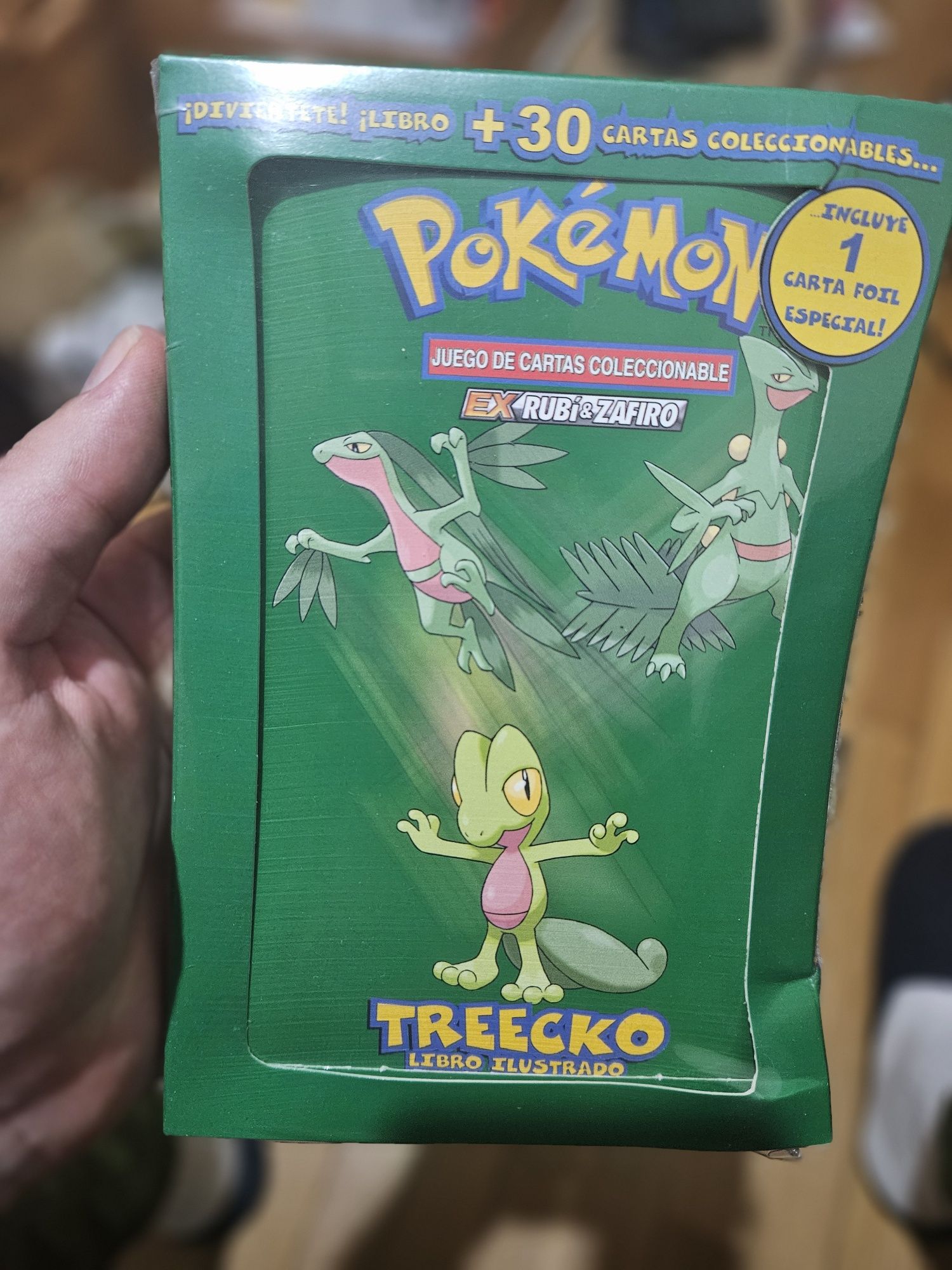 2004 Pokémon treecko Illustrated Booklet Cards deck ex ruby Sapphire