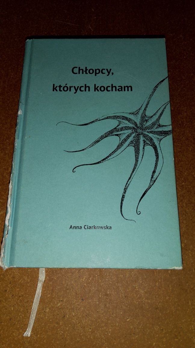 Chłopcy, których kocham - Anna Ciarkowska