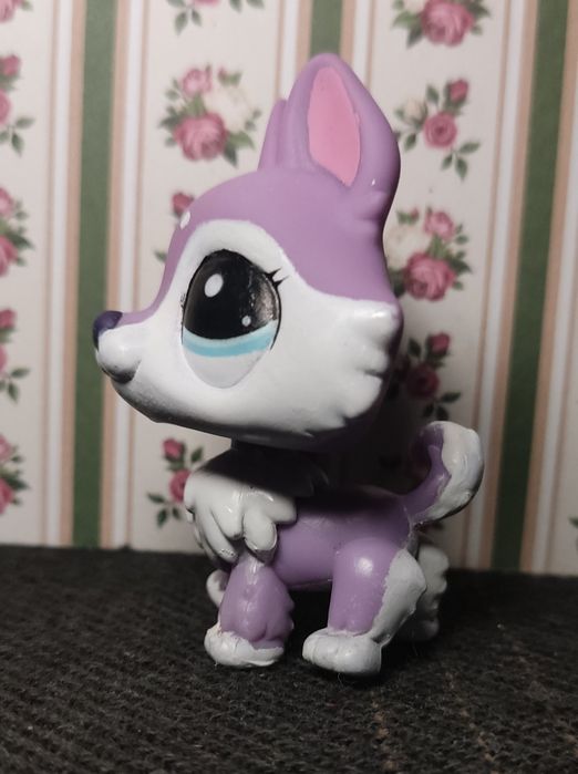 Lps littlest pet shop хаскі