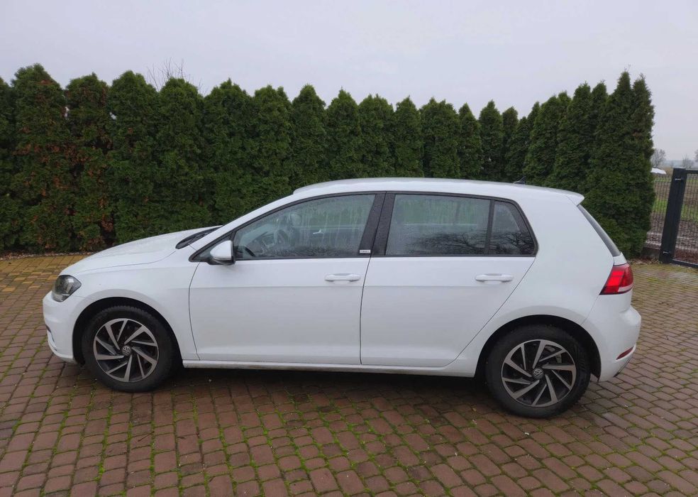2019 Volkswagen Golf 1.6 TDI (BlueMotion Technology) DSG Comfortline