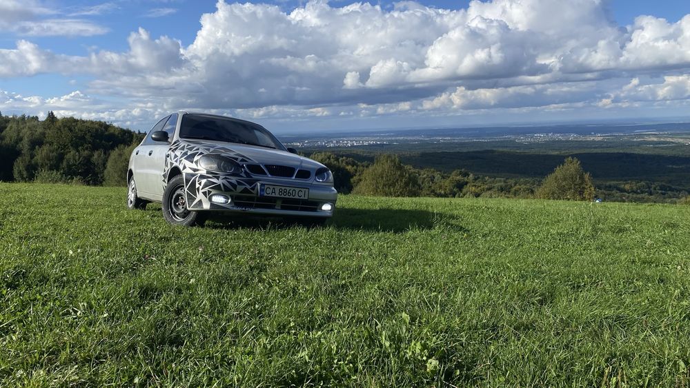 Ланос чистокровний поляк