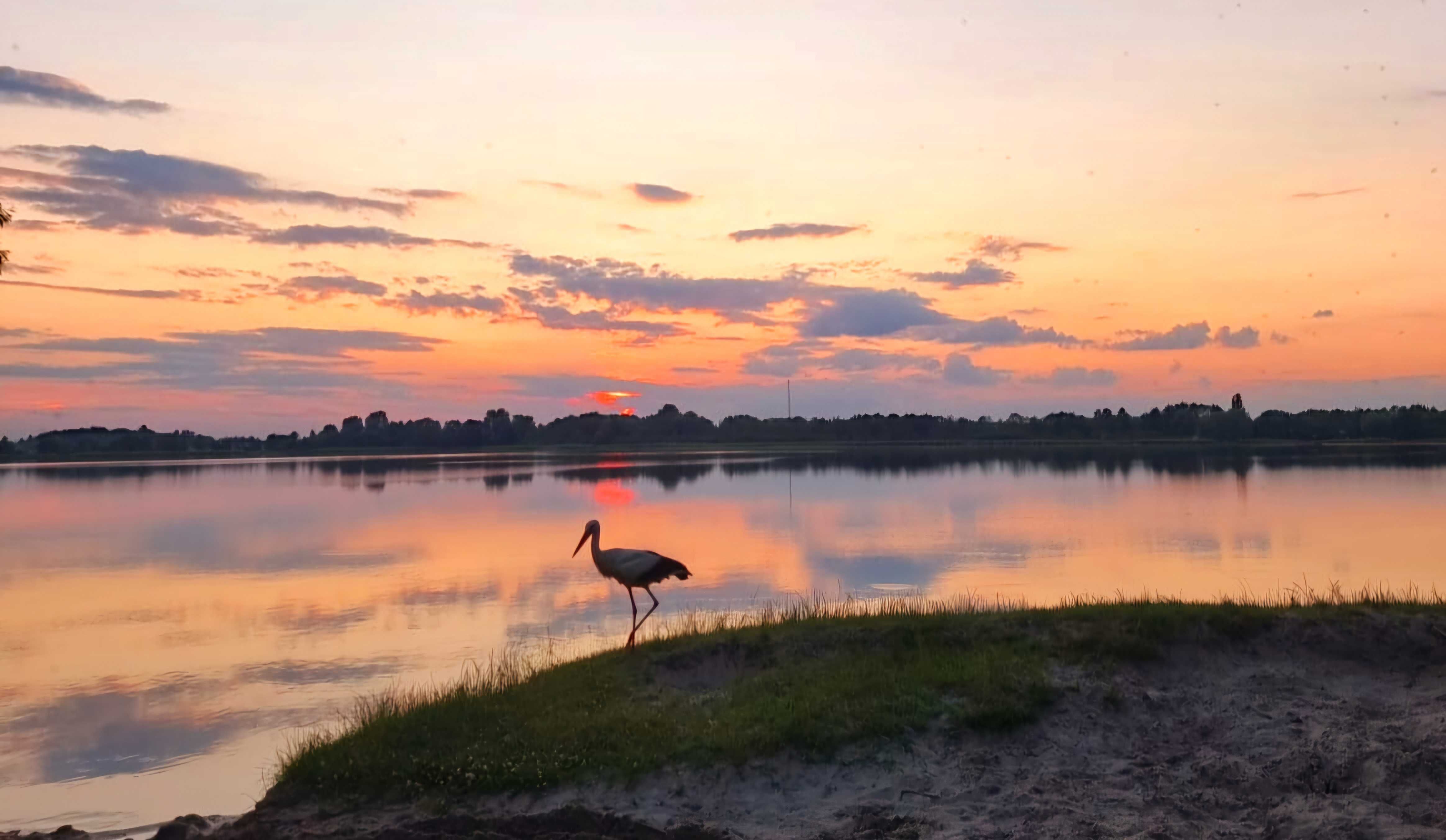 Dom na wyłączność nad jeziorem Krasne dla 8 osób