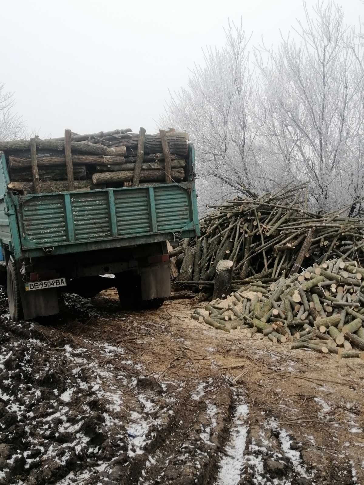 Продам дрова метровка та пиляні