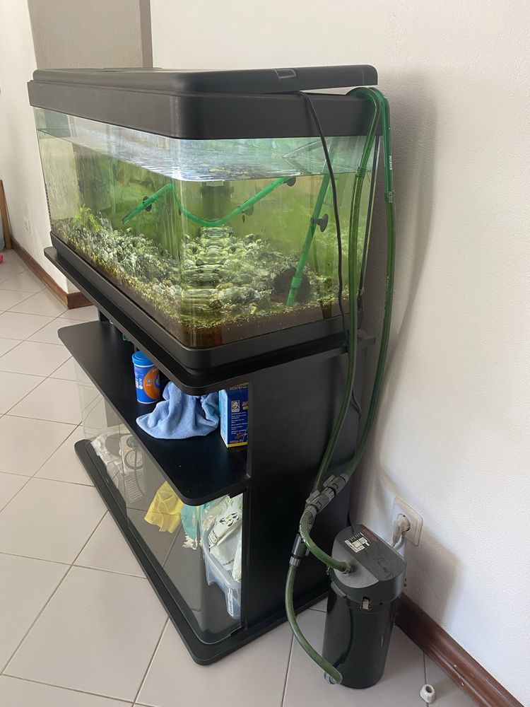 AQUÁRIO 100 litros completamente equipado com Móvel