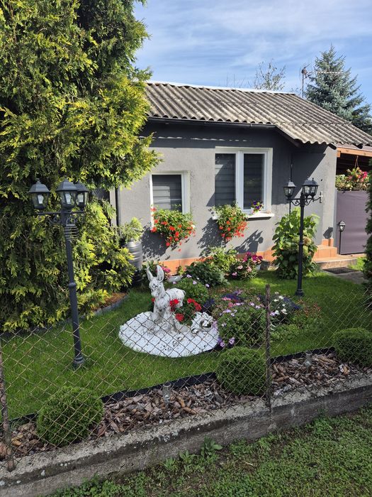 Działka ROD na prądach