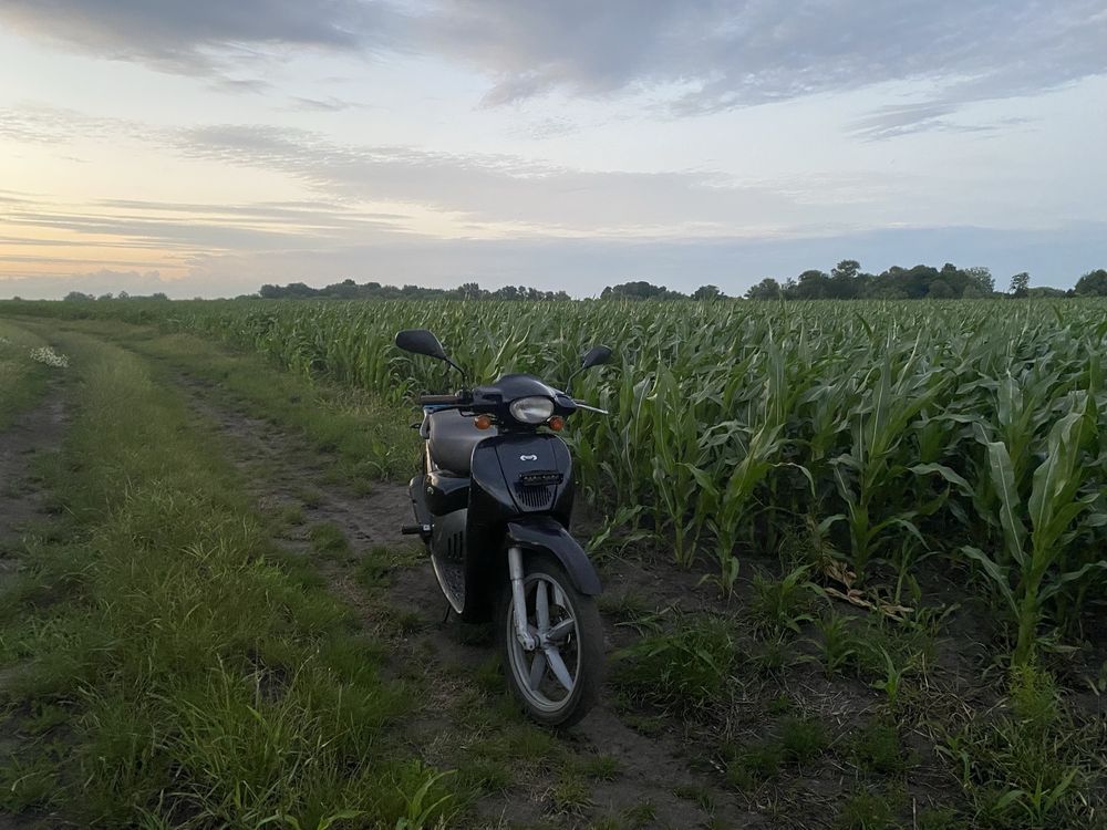 Aprilia scarabeo