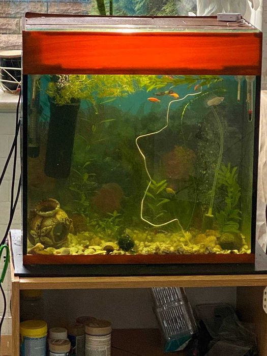 Продам .Акваріум. з тумбою.