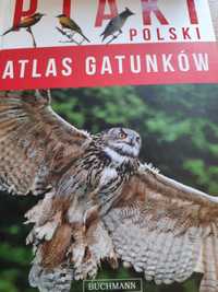 Ksiazka Ptaki Polskie Atlas Gatunków