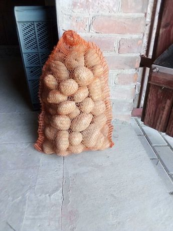 Ziemniaki jadalne