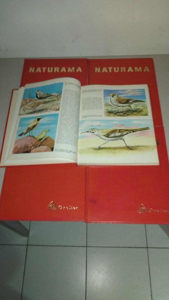 Vendo um conjunto de 5 livros da Naturama  antigos