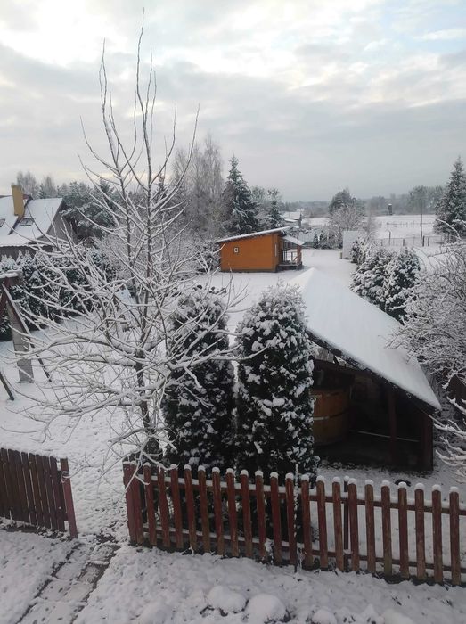 Całoroczny domek do wynajęcia w malowniczej Białowieży
