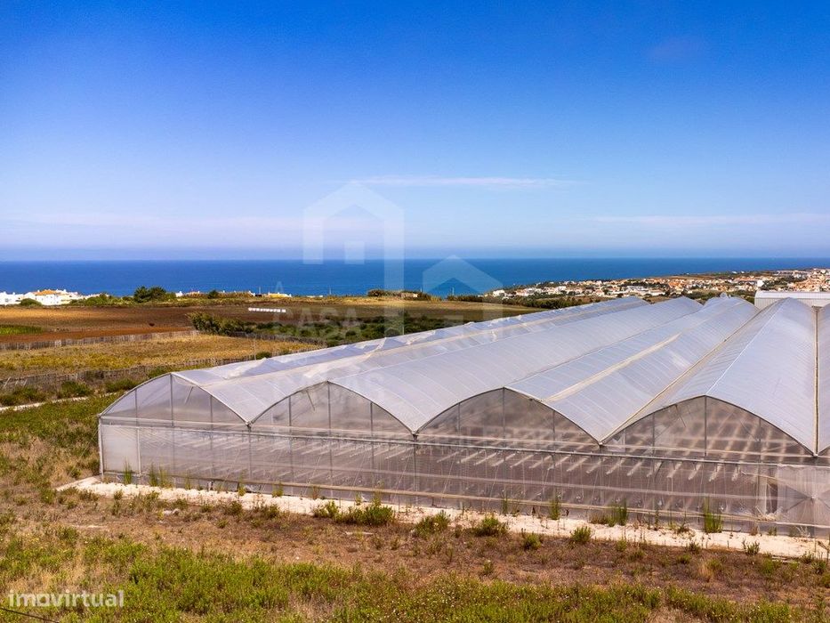 Vende Terreno - Ericeira 5 km, A Casa das Casas