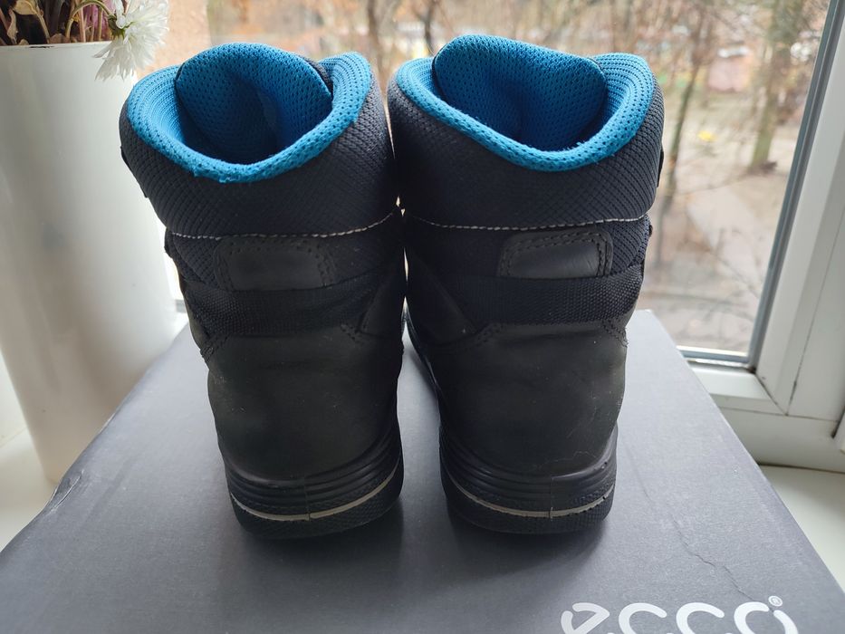 Дитячі зимові чоботи черевики для хлопчика Ecco 33 р