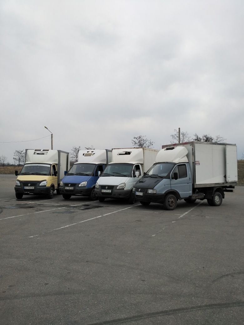 Грузоперевозки  рефрежиратор   до -18.  4-10 е.п.