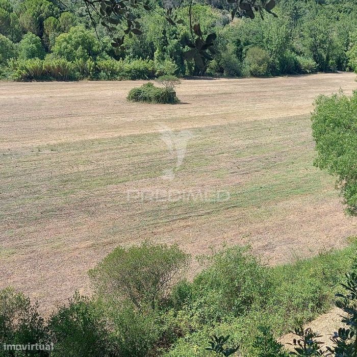 Terreno Rústico, Agricultura de Regadio, Pernes, Santarém.