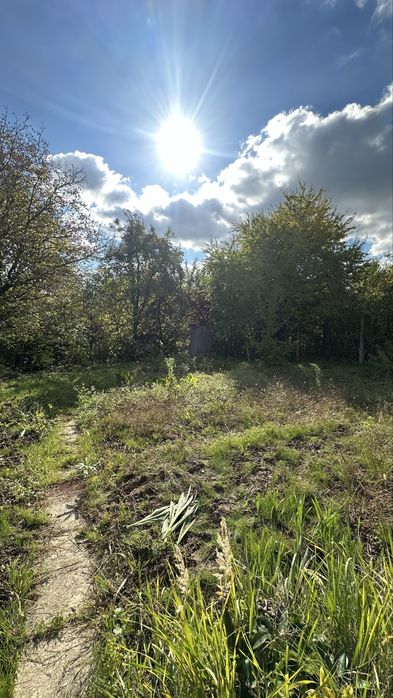 Продаж дачної ділянки з будиночком в Малих Грибовичах