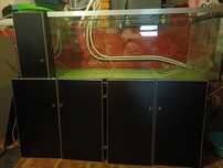 Aquário 550l + sump 200