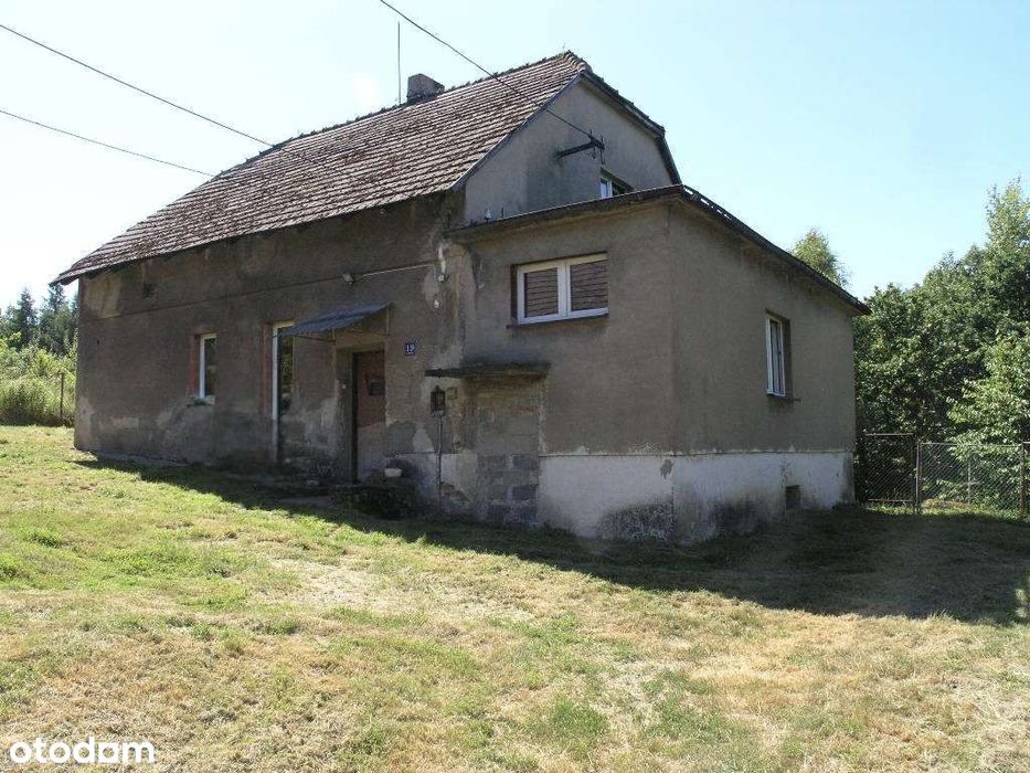 Syndyk sprzeda dom z budynkiem gospodarczym, duża działka, staw