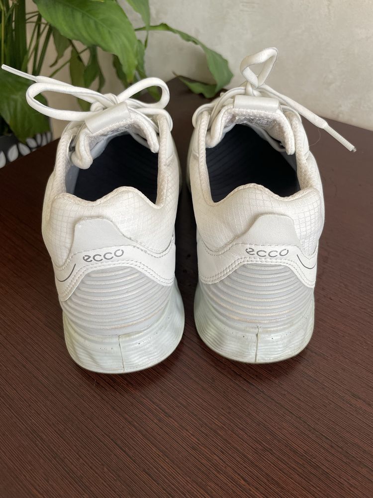 Жіночі кросівки для гольфу ECCO S-Three